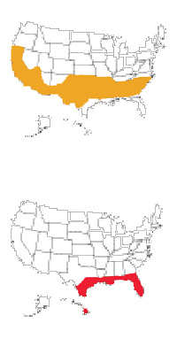 Best Energy Efficient Windows and Climate Zones